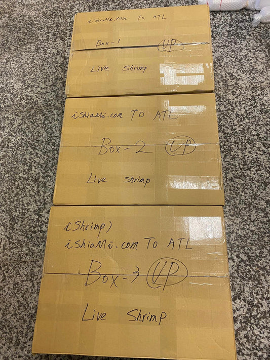 We are ready for North American International Shrimp Contest.