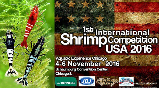 The 1st USA Shrimp Contest