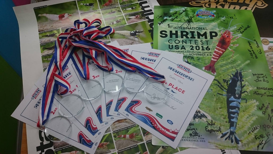 The 1st USA Shrimp Contest Award