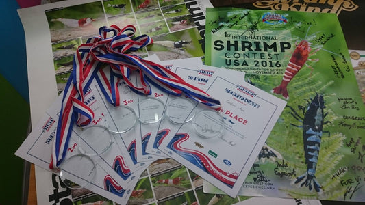 The 1st USA Shrimp Contest Award